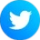 twitter-icon